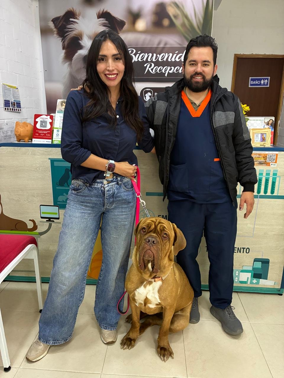 Equipo de King Travels cuidando mascotas